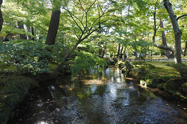 gifag6WjNmIMiqK1731724631