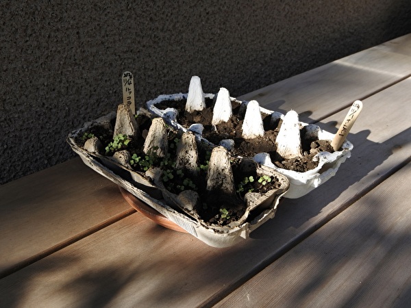 gssnuwOEykjB5Fj1732863870