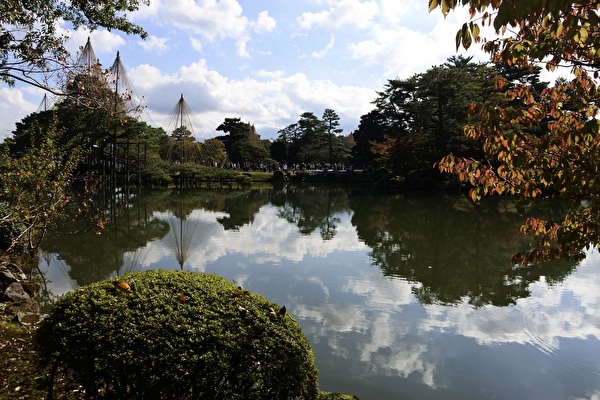 hWnzTyYgjLTiNvK1731719101