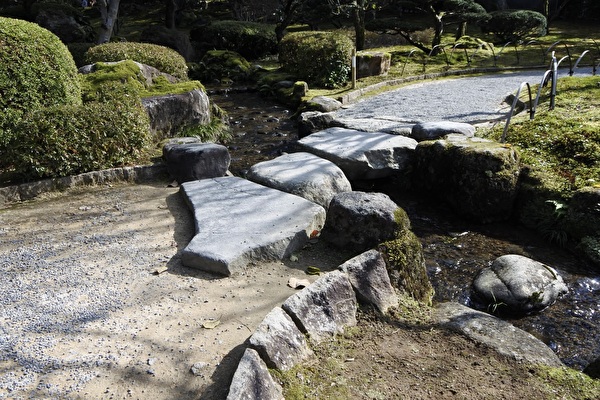 jCcaT44eIh0M55p1731719222