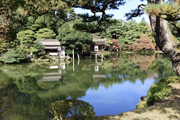 jcVLjawee0pQk1M1731725520