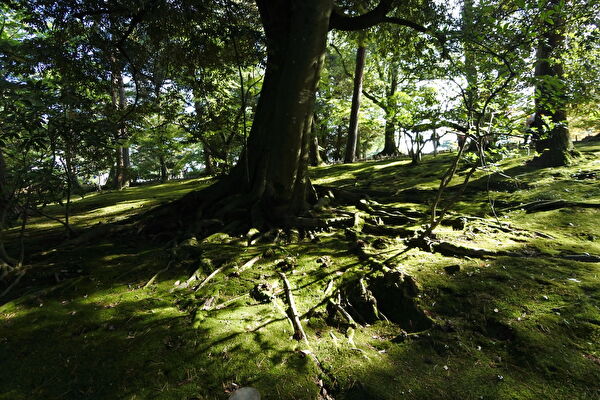 kagnmV6PRbSQOmy1731719072