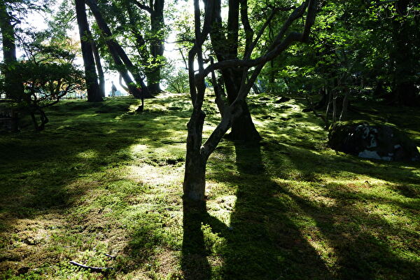 ngdXnEVBJlQafZO1731719046