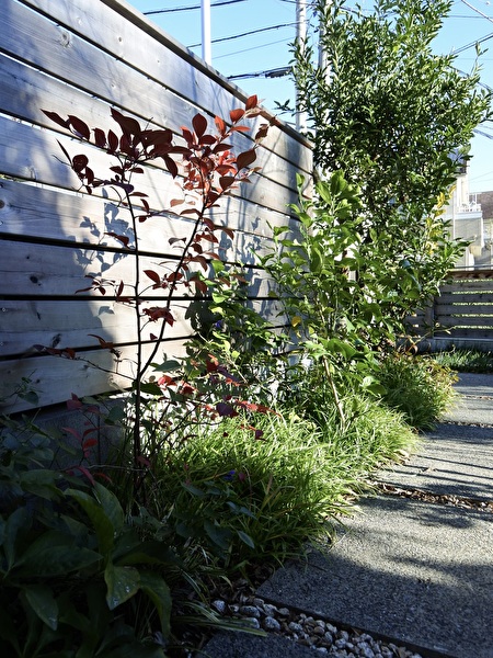 vzubz5HG4GLlf3q1732863791