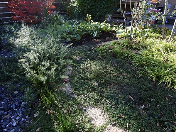 xdoygZlJtoBdCmZ1732863856