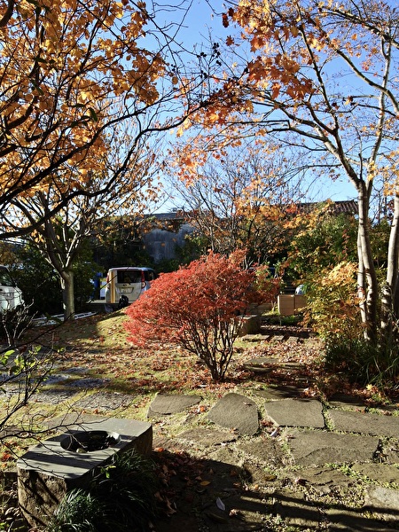 4t7Ee7KJsESeEDs1733014806