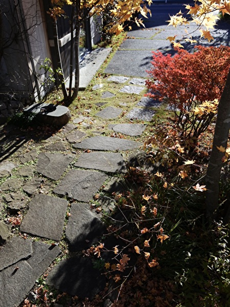 6H20krANr66mbIw1733014832