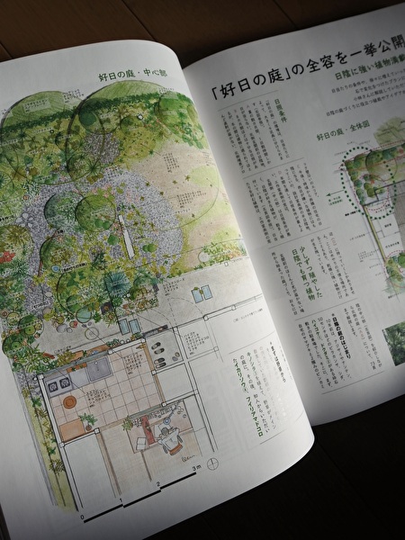 元祖・好日の庭