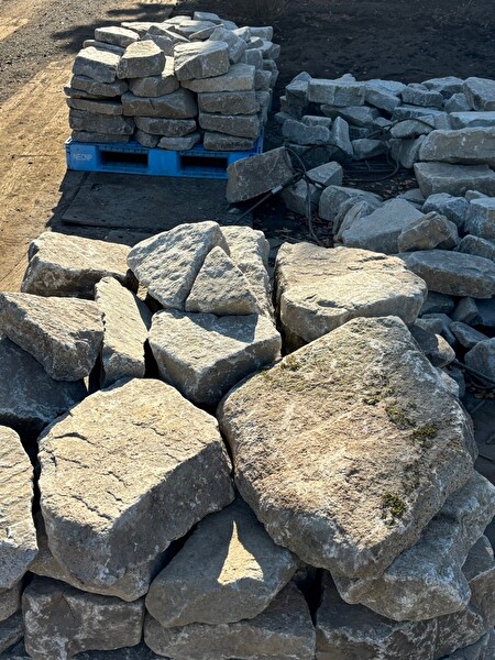 DspFzJHreOZDu1z1733969664