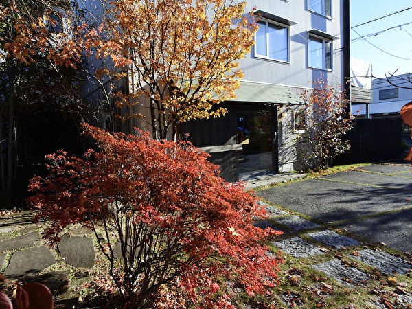 ドウダンツツジとアズキナシ