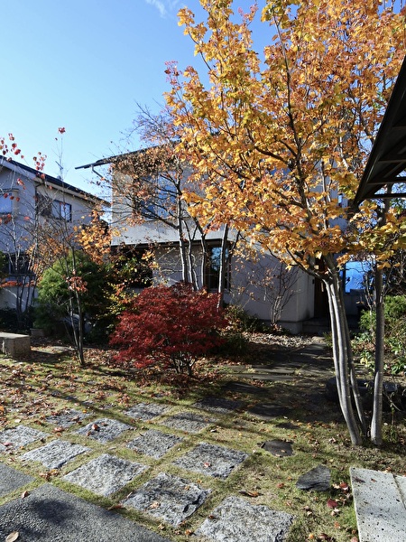 qfZrDEjQbFEyjjB1733014905