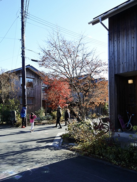 師走の青空とイロハモミジの紅葉