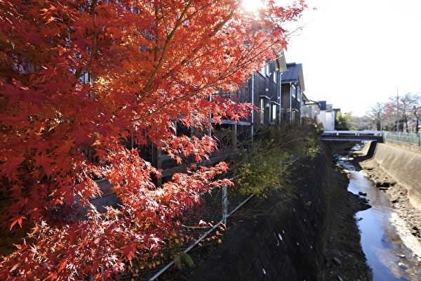 vmxeichtsaheGJU1734164797