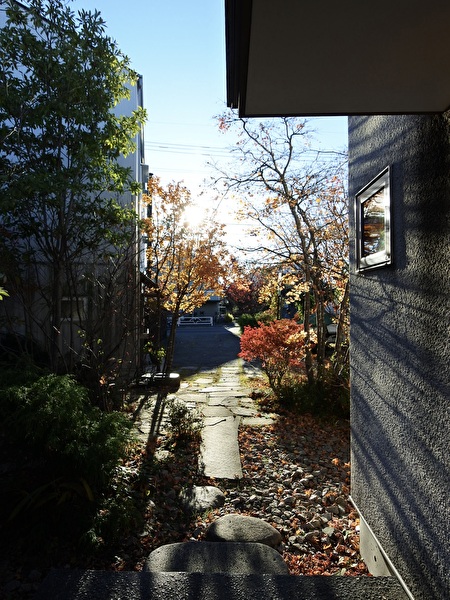 zQBlYnAeff74ywU1733014769