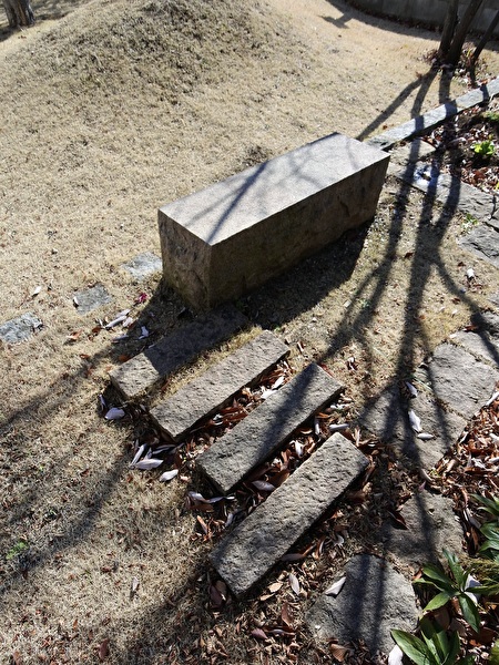 FFzsgCjM9pAz4mP1737416814