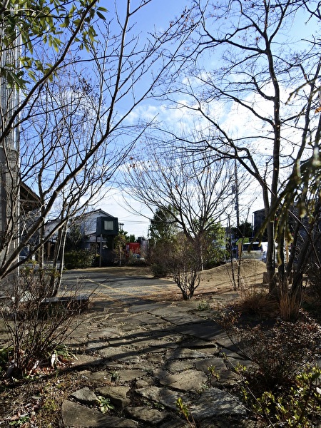 HRaXtnPw4OphroD1737416920