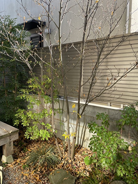 Kr2U1MsdoiKQyMp1735628098