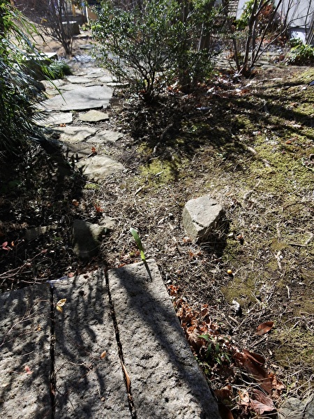 cEALuYiaJ8f9Pt91737416834