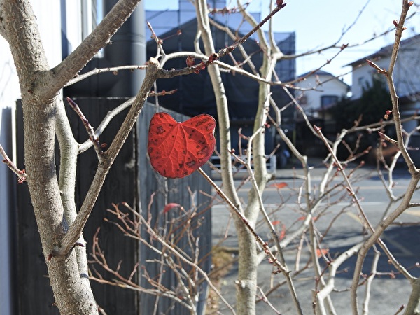 cZKYDVsK0f7kM3x1737416994