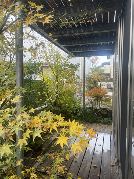 yGAbiytMSTMkZfb1735628082