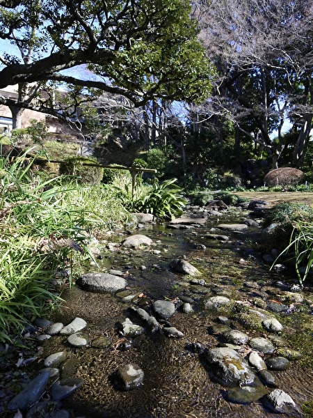 6wK1qRGE6Ln2X3G1740374848