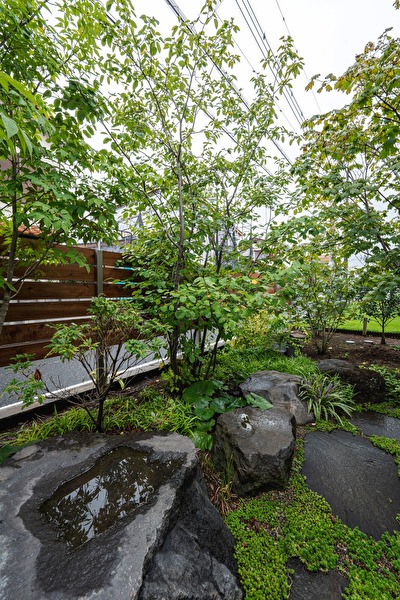 DZ99IevdlSie1xG1739259828