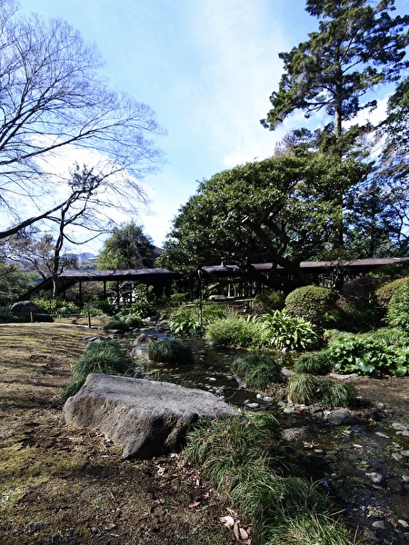 JarAETADsfDPZ5F1740374911