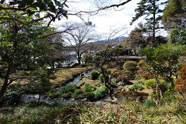 MPCU4aG3SLfQqgD1740375051