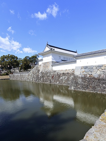 P92fY9juO6wsWBO1740378501