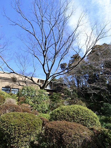 hWfFLh6WZGCKw6P1740378484