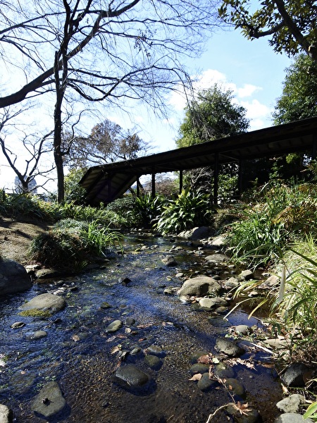 mNuJwjvmzJCQlMU1740374867