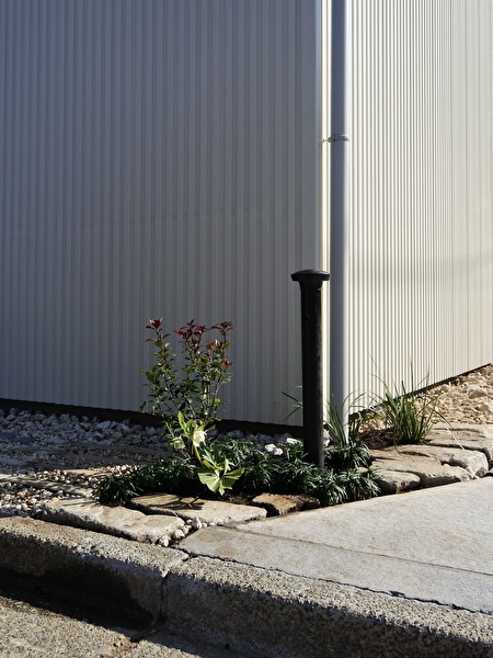 LdL0RYUXF4bOr6l1740900933