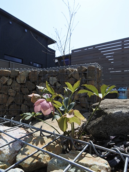 UKLHxzkSzBJ1rul1742700508