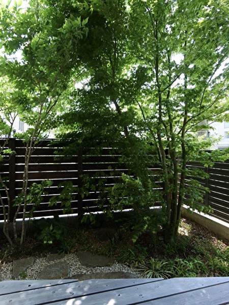 3mgdGzVm9rlGOoh1745741314