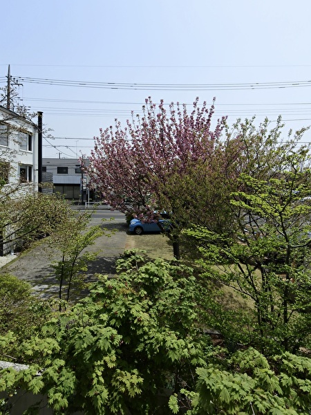 9QKapERtX5FSSDG1745046555