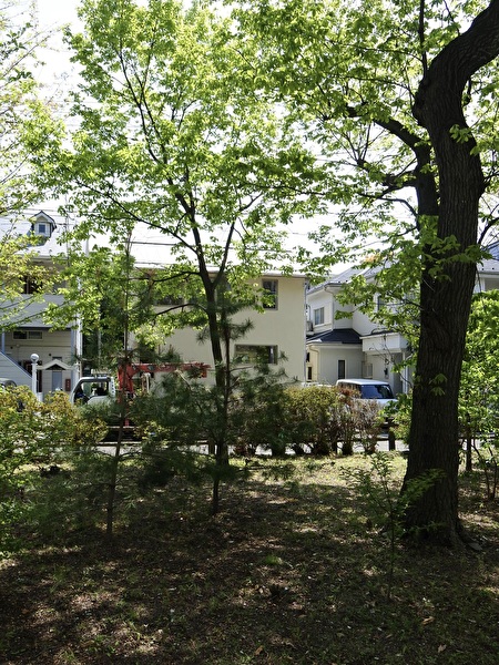 OUYHLwGXUIDVAwB1744507278