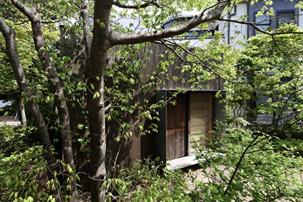 mJfgWo8tx3pCXK71745046520