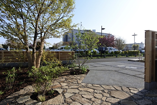 xjBCwhdBAt3zqW41744939237