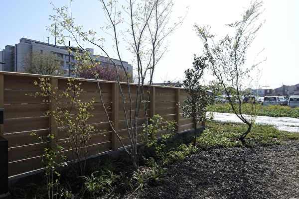 ykv8PQD7q7jxPAe1744939147