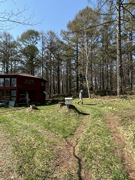 菅平高原薬用植物栽培局