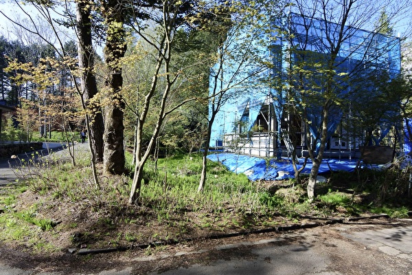 5Tf10YeNQqZKBHU1746324090