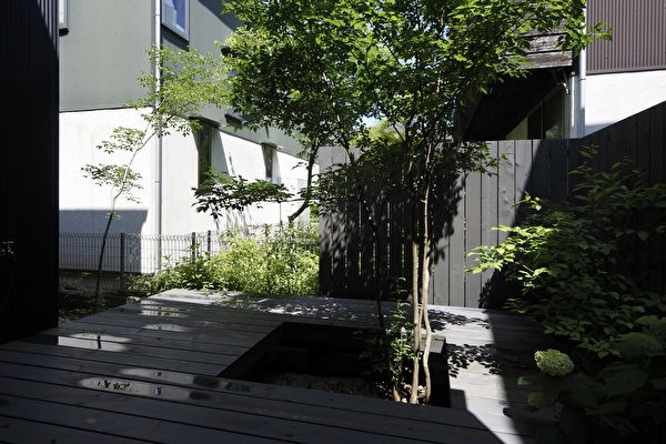 BbA1Hz2ZnDxqpdD1748414242