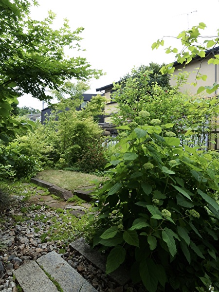 HfnQAHjf2O4XiRz1748049012