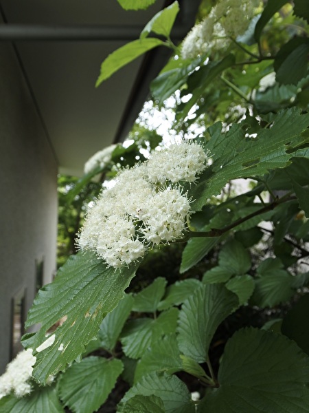 KweACBhAjprq7Xt1747203663