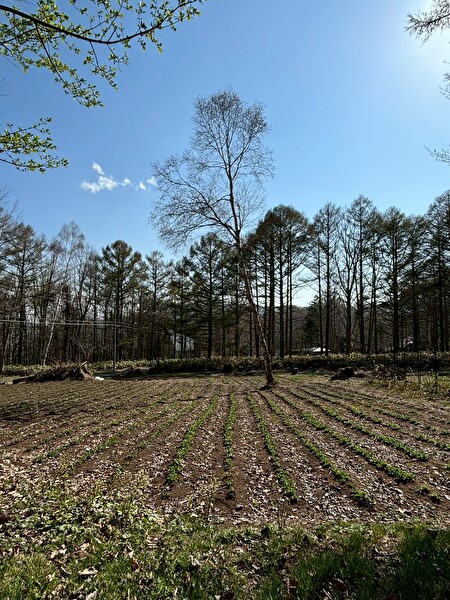 OFShZDSFVtzOFKM1746324253