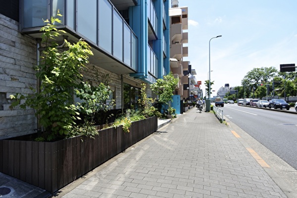 QtAsslDJGTWkZhX1748569492