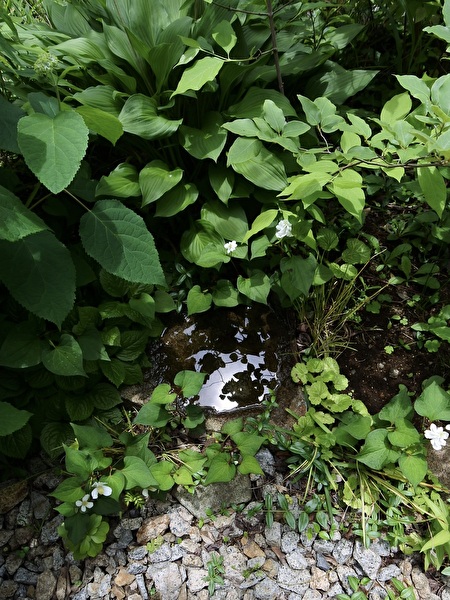 TYYvCd0EfgLw6VV1747986239