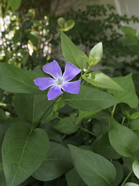 W2WEyynANyqhC9K1747203733