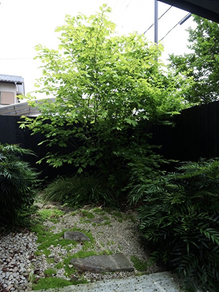 ZsCnkBGie5NjCxT1747203768