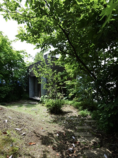 aRpcD19bbU2SOU11747203789